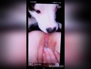 Woman Submissive to a Dog - Extreme Bestiality Video
