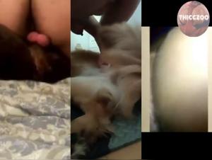 Big Ass Dog Bang Riding Mashup