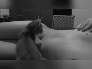 Woman and cat: a beastly encounter