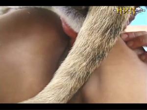 Sex with Dog Video: Extreme Bestiality