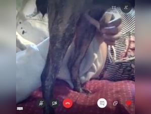 Handjob cam video: A beastly experience not to be missed