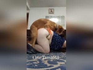 baise animale : mon cul gras, chien excité