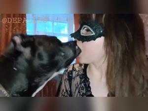 Dog Anal Fuck