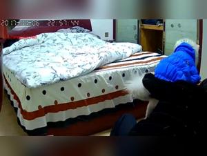 Asian bestiality: A couple and their dog in a shocking video