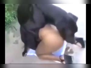 best bestiality videos