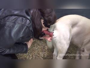 Yasming and her bestial encounters with dogs