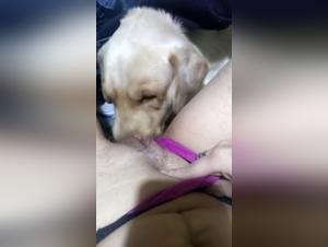 First time, she gets licked by her dog