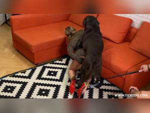 Beauté salope suce un chien pour se satisfaire
