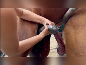 forbidden zoo fantasies