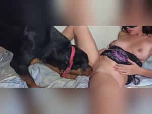 Bestiality sex video with masked teen and dog