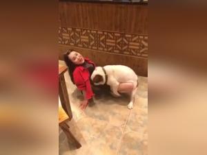 Asian woman and dog: a shocking bestiality video
