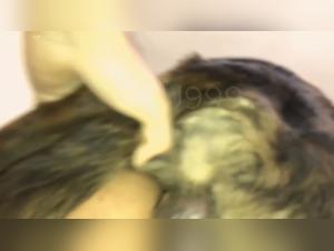 Dog Sucks Latin Guy's Cock