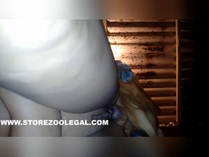 Perro Custom Folla a MILF