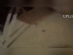 Asian woman and her dog: a bestial sex video