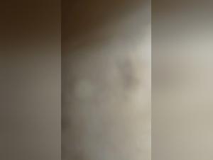 how long does dog sex take