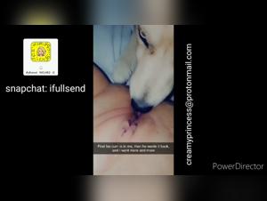 Bestiality Videos: Explore your Fantasies