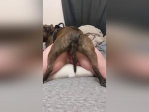 Bestiality: A woman and her dog in an intense scene