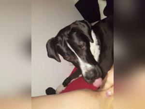 The Blonde Woman Fucks Her Dog in an Intense and Shocking Scene