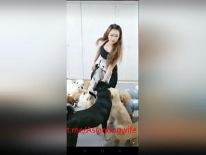 esclave asiatique baise chien fougueusement