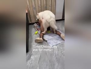 Ehefrau von Hund gebumst - Aufnahme