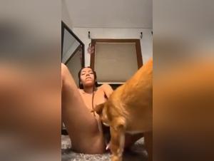 Bestiality Sex Videos - Extreme XXX Pornos