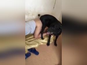 Zofilia Teen: Tierliebe bis zum Knotenpunkt
