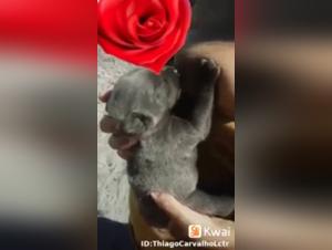 Puta amamantando cachorro XXX 19