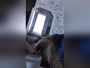 A young girl and her beastly experience with a dog