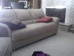 Shemale and her dog: an intense bestiality sex scene