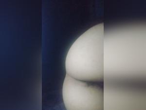 Delving into the Dark Realm of Tick Zoo