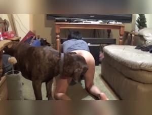 Extreme Zoo Animal Sex - Hardcore Dog Fuck Video