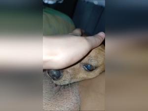 Unveiling Animal Abuse: The Dark Truth