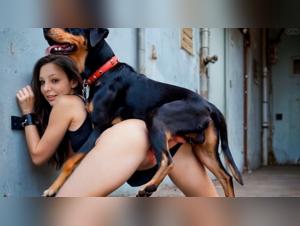 Zoo Tube: Obsessive Orgy of Sluts & Dogs