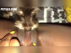 Home Video: Ein kleiner Hund leckt seine Besitzerin