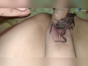 Alisionprod: Unveiling Forbidden Desires