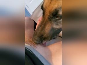 zoofilia and affection