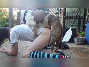 Submissive woman gets dominated by dog   in shocking bestiality video