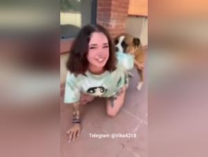 zoo art and zoo skool