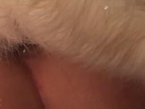 Bestiality sex videos: discover zoophilia in hardcore scenes