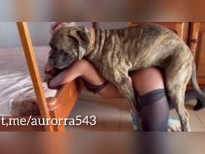 Chica se besa con perro - Vídeo XXX Parte 1