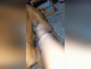 Milly Dog Fuck Reactions 101
