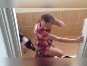 Bestiality Videos: Discover Sex with Dogs