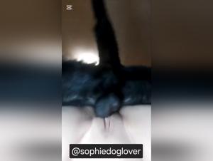 Chienne baise Knot