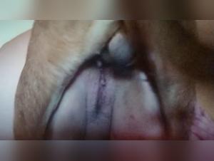 la salope baisée violemment par son chien