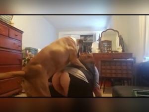 Bestial Experiences: Intense Zoophilia Video