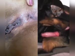 Naughty woman and dog in bestiality sex video