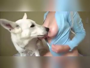 dog fuck fetish hardcore