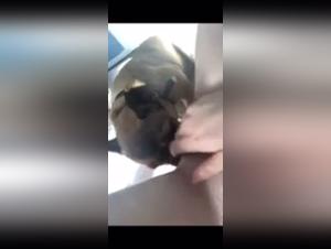 Bestiality: A Forbidden Encounter