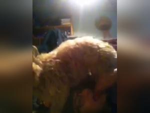 Teenage girl and her dog in a zoophilia video