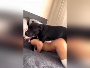 bitch enslaved by her dog hardcore